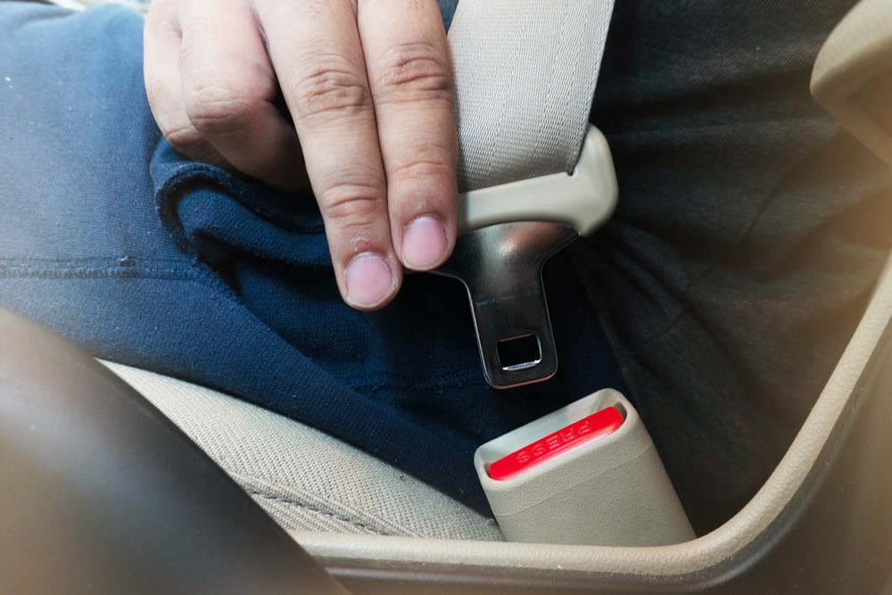 Buckle Up!